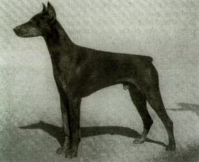 Ajax von der Wertachbrücke Ajax von der Wertachbrücke