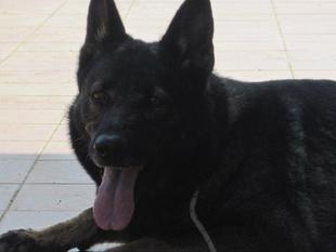 Jola (04120851) Jola (04120851)