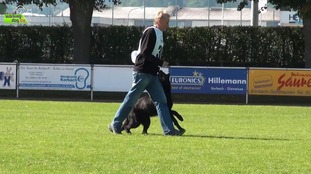 Chicco von der Ost-West Verbindung Chicco von der Ost-West Verbindung