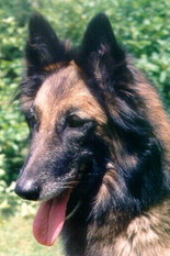 Adina Mlynsky Ostrov Adina Mlynsky Ostrov