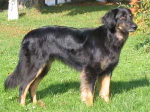 Birthe aus dem Schreckhäusl Birthe aus dem Schreckhäusl