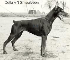 Della van't Smeulveen Della van't Smeulveen