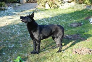 Arwen von der Black Pearl Arwen von der Black Pearl