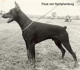 Feus von Nymphenburg Feus von Nymphenburg