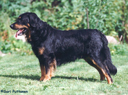 Hofwaline's Dark Ihnka