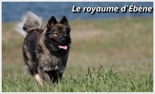 Hanouk daikijack des légendes de Retz Hanouk daikijack des légendes de Retz