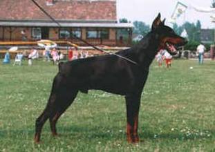 Xysthos van Stevinhage Xysthos van Stevinhage