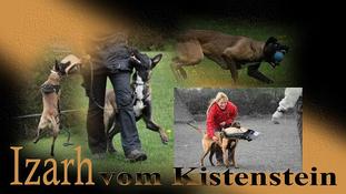 Izarh vom Kistenstein Izarh vom Kistenstein