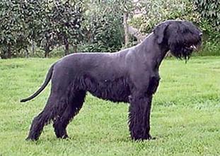 Phytia von Lexow Phytia von Lexow
