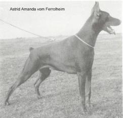 Astrid Amanda van Ferrolheim Astrid Amanda van Ferrolheim