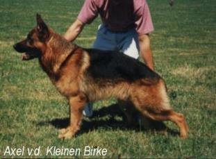 Axel von der kleinen Birke Axel von der kleinen Birke