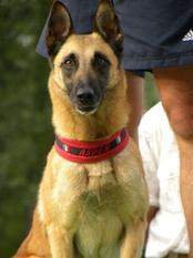 Aspen LOF 61997 (Remund) Aspen LOF 61997 (Remund)