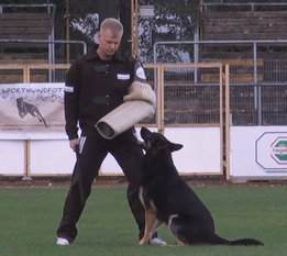 Eyk vom Wolfstanz Eyk vom Wolfstanz