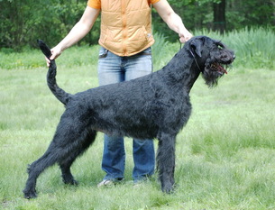 Lex vom Hatzbachtal Lex vom Hatzbachtal