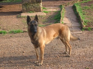 Kgarou of Joli Troucheaus Kgarou of Joli Troucheaus