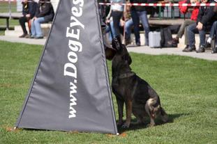 Inka von der schwarzen Natter Inka von der schwarzen Natter