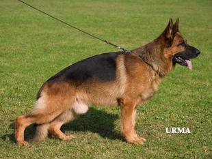 Yukon von der Bastillie Yukon von der Bastillie