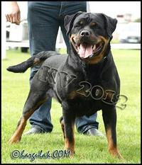 Dagie Lib-Vach Dagie Lib-Vach