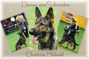 Donna vom Suhrrehm Donna vom Suhrrehm