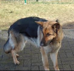 Rania von Lacroz Rania von Lacroz