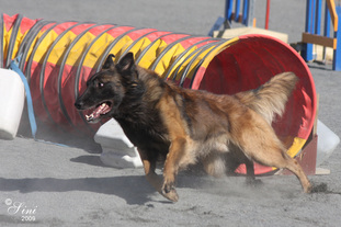 Nero FIN 13449/05 (Orenius) Nero FIN 13449/05 (Orenius)