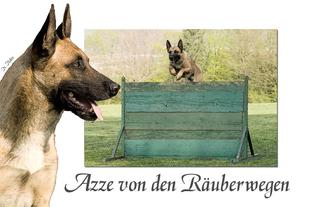 Azze von den Räuberwegen Azze von den Räuberwegen