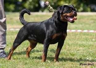 Tayra von Zwischenhaine Tayra von Zwischenhaine