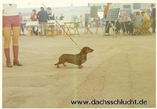 Britta von der Dachsschlucht Britta von der Dachsschlucht