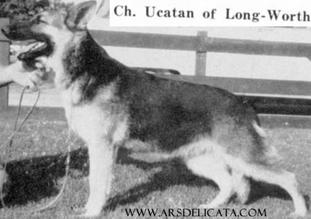 Ucatan of Long Worth Ucatan of Long Worth