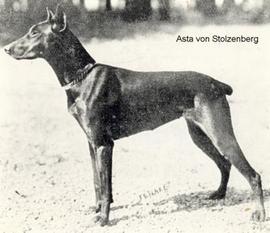 Asta von Stolzenburg Asta von Stolzenburg