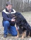 Helmut Oppelt