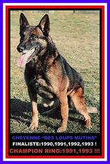 Cheyenne des Loups Mutins Cheyenne des Loups Mutins