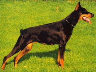 Cassi von Bayern Cassi von Bayern