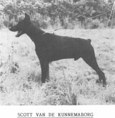 Scott van de Kunnemaborgh Scott van de Kunnemaborgh