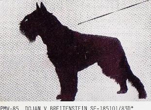 Dojan vom Breitenstein Dojan vom Breitenstein