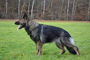 Sempra vom Cap Arkona Sempra vom Cap Arkona
