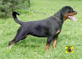 Priska Marstal Priska Marstal