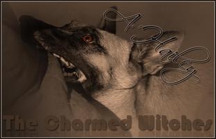 The Charmed Witches A'Hailey The Charmed Witches A'Hailey