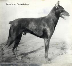 Amor vom Götterfelsen Amor vom Götterfelsen