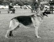 Hero von der Malzmühle