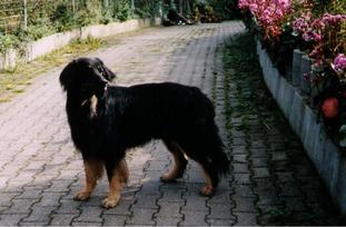 Moritz vom Schondratal Moritz vom Schondratal