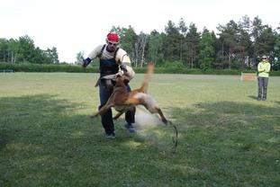 Manni vom Holzhäuser Flur Manni vom Holzhäuser Flur