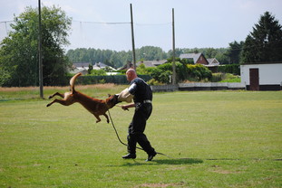 Jump vom Zabelstein Jump vom Zabelstein