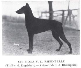 Mona von der Rheinperle Mona von der Rheinperle