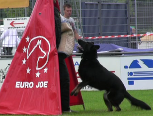 Arie von Semrowplatz Arie von Semrowplatz