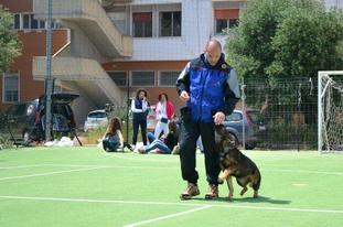Wanesca Ax Wanesca Ax