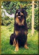 Alarich von Kressbach Alarich von Kressbach