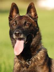 Spike (R) 07/144R0186 Spike (R) 07/144R0186