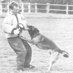 Fico von Löwenfels Fico von Löwenfels