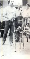 Ringo de Maiclo du Serret Ringo de Maiclo du Serret